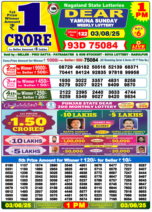 Dhankesari Lottery Ticket Sample